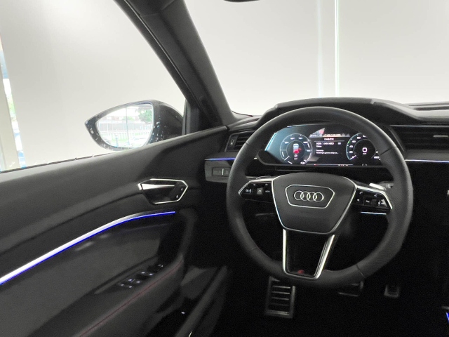 Q8 Sportback 55 e-tron Quattro S-Line+Navi+Matri
