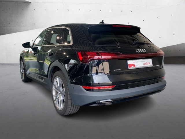 e-tron 55 Quattro S-Line+Navi+Led+Head Up+Top Vi