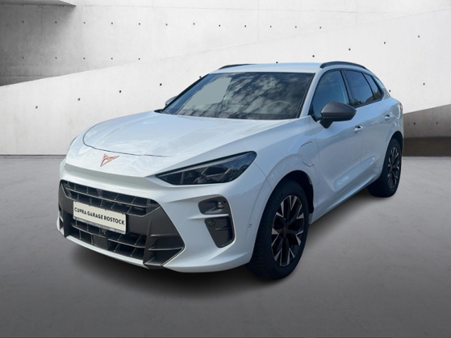 Terramar 1.5 e-Hybrid+Navi+Matrix+Hud+Full Link+