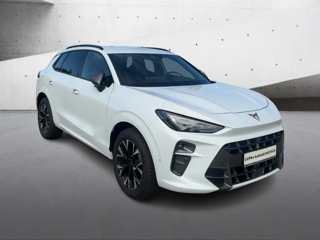 Terramar 1.5 e-Hybrid+Navi+Matrix+Hud+Full Link+